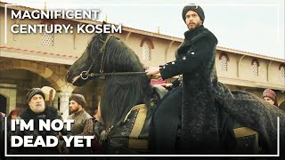 Prince Mustafa Ascended The Throne Magnificent Century Kosem Special Scenes