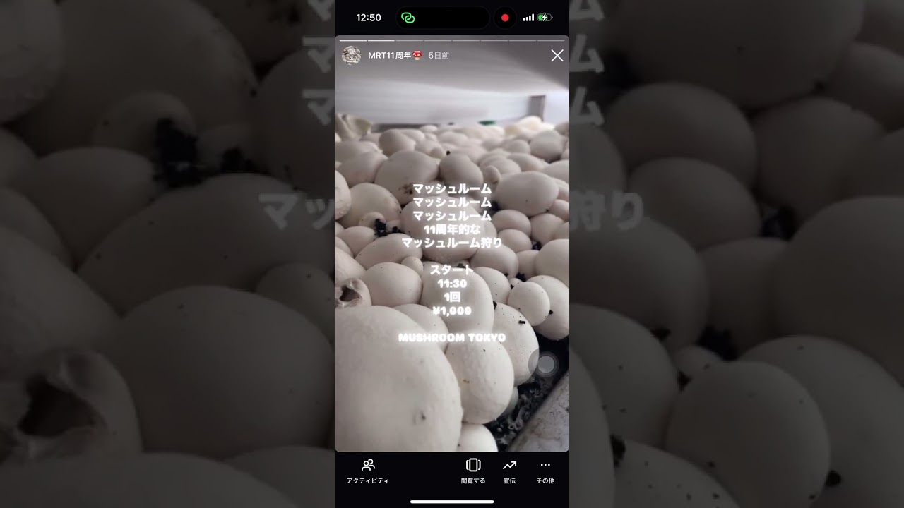 イベントレポート】2025/4/6 マッシュルームトーキョー 11周年