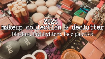 2025 makeup collection & declutter! | blushes, highlighters, face palettes