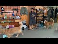犬飼の私が欲しい夢のアイテム三選!