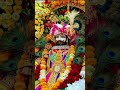 shorts algorithmtrending shorts 2026🔥  importantBaba Shyam Ki video Jay Shri Shyam Jay Khatu Shyam