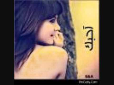 عمرك سمعت ب طير ويحب سج آنه