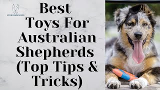 Best Toys For Australian Shepherds (Top Tips & Tricks) by Anything German Shepherd 165 views 2 months ago 59 seconds