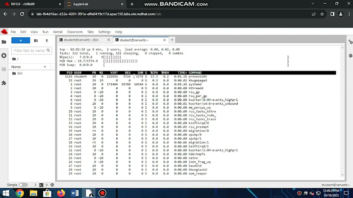 8.9 Lab : monitor and manage linux processes (part 1)