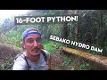 SEBAKO HYDRO DAM | 16-Foot Long Python & Hiking with the Dogs