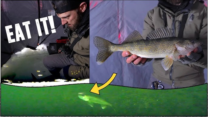 SECRET Ice Fishing TIPS to Catch More WALLEYES! 