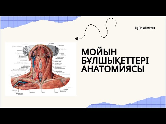 Аялдамаларда серуендеу