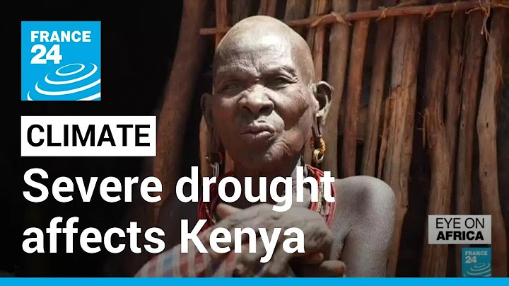 Drought in Kenya: In the Samburu region, inhabitants survive thanks to NGOs • FRANCE 24
