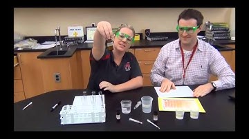 Enzyme lab introduction