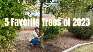 My 5 Favorite Trees of 2023 - Exotic and Fun Trees to Grow in the Yard by Touch Grass Gardening 2,128 views 5 months ago 12 minutes, 37 seconds