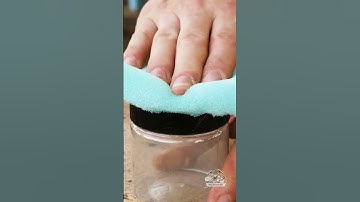 Paint Like a Pro with This Simple Trick! 🧠🖌️