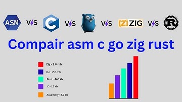 Compair with ASM | C | GO | ZIG | Rust || #comprision #asm #clanguage  #golang #zig #rust