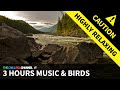 ❀ RELAX MUSIC | ✿BIRDSONG | ❀ MEDITATION | ✿ STRESS RELIEF