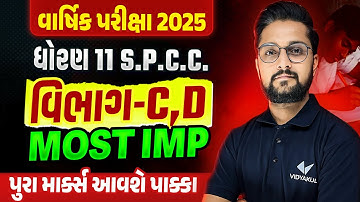 Std 11 SPCC Final Exam Section C & D Most IMP | Dhoran 11 SPCC Exam IMP 2025 | Ketan Dada