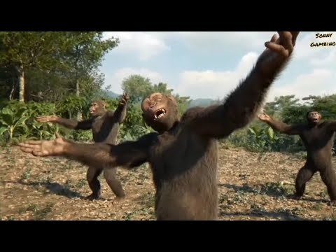 Monkey Dance - YouTube