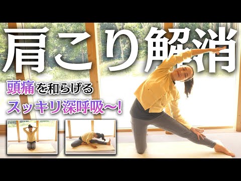 ヨガ 応用と実践編 動画資料付き 6カ月サポートあり LIMITS - YouTube