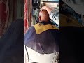 head shave