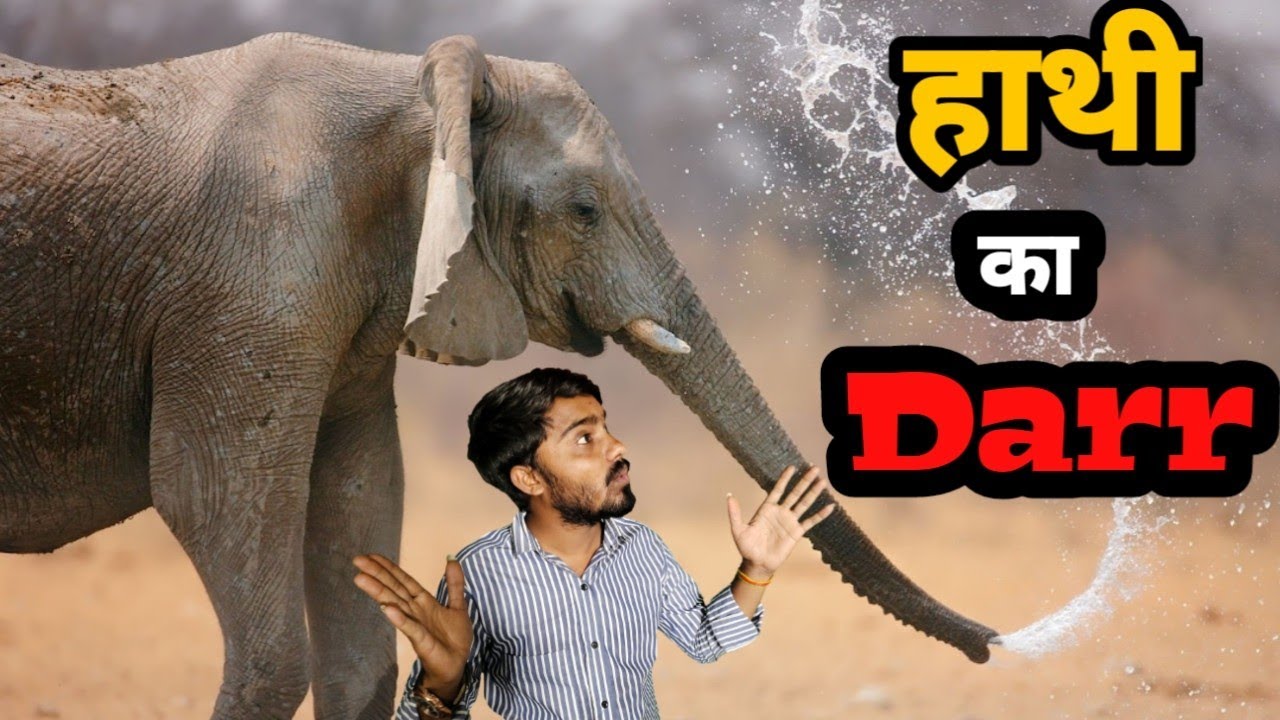 Hathi hathi or racchi hathi ka darr Elephant hindifirytales 