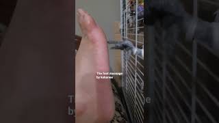 The Foot Mage By Kokanee Footma