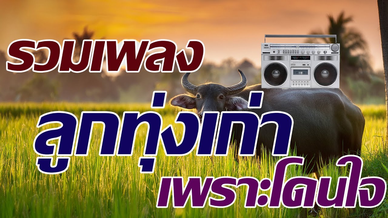 รวมเพลงลูกทุ่งเก่าฟังเพราะโดนใจ