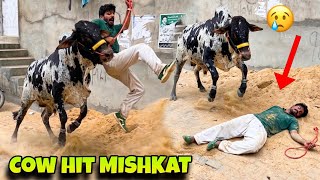 MISHKAT KHAN NE KHIZAR BHAI KE JANWAR BHAGADIYE 😱 | Cow Running Video | Cow Unloading | Usama Pets