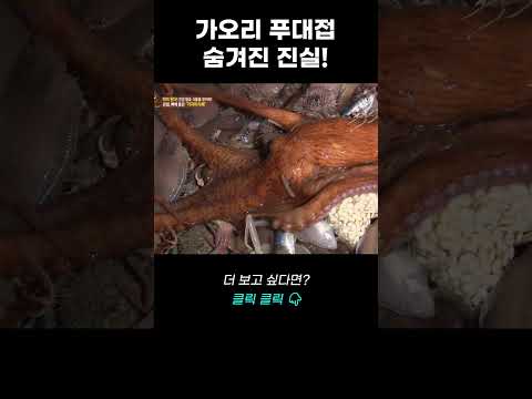 | <strong>리얼다큐</strong> 숨