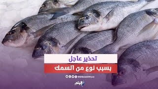 سمك مسمم منتشر في الأسواق | اعرف الحكاية