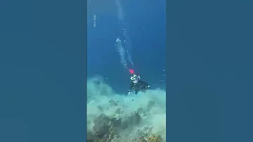 Moment Rare 7 2 Magnitude Earthquake Strikes Underwater 10 News First 