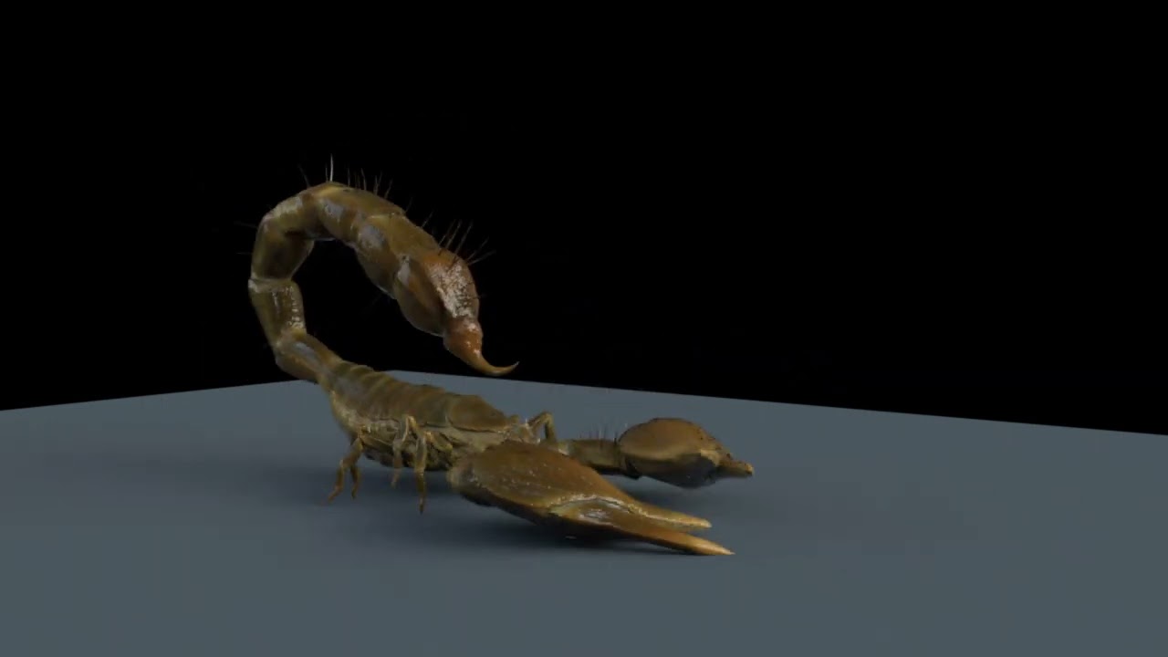 скорп текстура