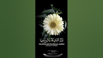 حالات واتس اب مقاطع قصيره قران كريم سورة القدر القارئ سعد الغامدي بدون حقوق #رمضان