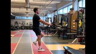 TRX Reverse Lunge w/March