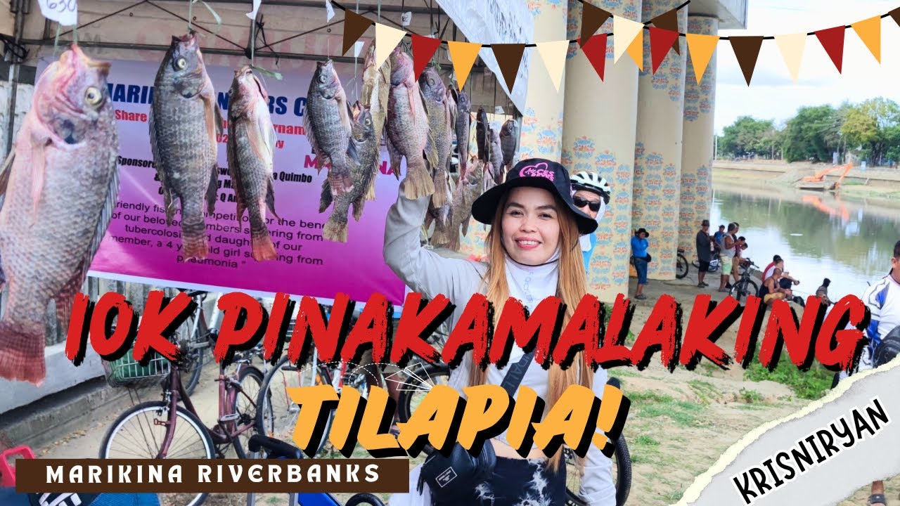10K PARA SA PINAKAMALAKING TILAPIA, MARIKINA RIVERBANKS FREE FISHING SPOT