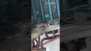 voltas ac indoor unit cooling coil leakage testing