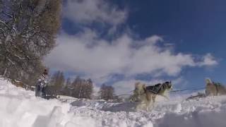 Aftermovie Skireis Risoul - Lachbf