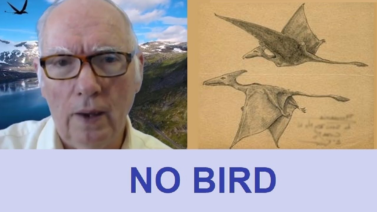 Ropen Pterodactyl and Bird Watching