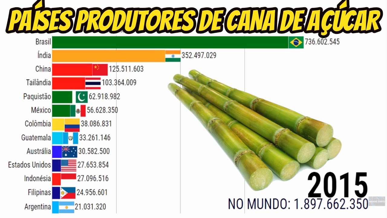 Produtores de cana-de-açúcar e de pescado ganham mais limite de crédito