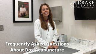Frequently Asked Questions About Dog Acupuncture
