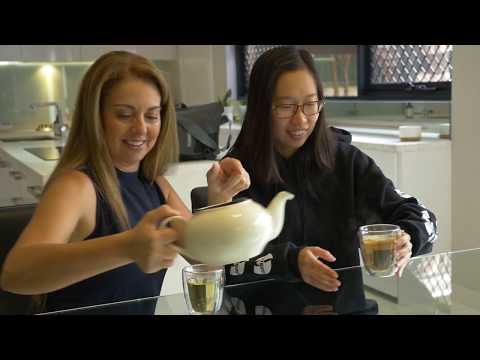 Introduction to UTS Insearch - Student Welfare