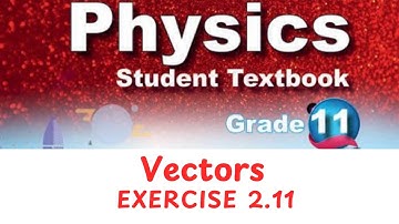 Grade 11 - Physics - Vectors - Exercise 2.11