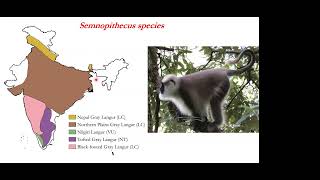 Introduction to Primates in India: Ecology and Conservation  | By The Nature's Eye