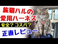 猫用ハーネス決定版！？旅する猫が選ぶ最強ハーネスがこちら！【猫用ハーネス１０種お試し企画】