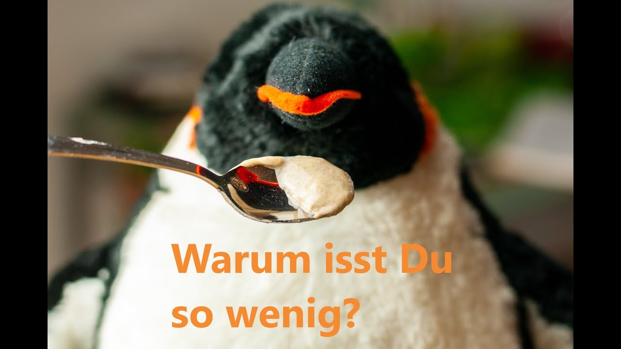 Sauerteig auffrischen: Warum füttere ich nur einen kleinen Teil?