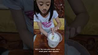 Grade 1 SSES l Silver Dwayne l Performance task in Science: Seed Planting