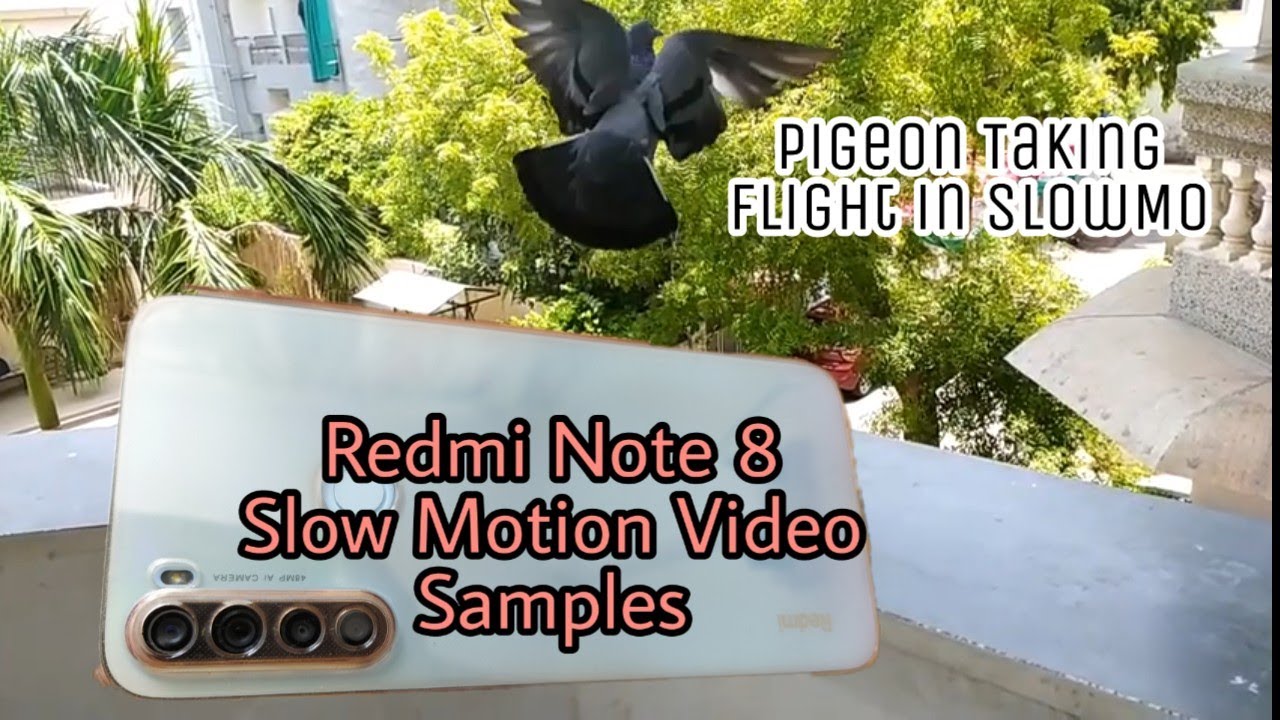Redmi Note 8 SlowMo • Slow Motion Video Samples of Redmi Note 8 YouTube