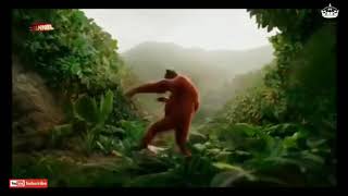 Download Lagu Monyet mirip manusia MP3