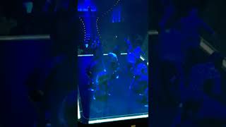 Magic  Mike  Live