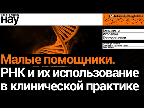 «Малые помощники. РНК и их использование в клинической практике». Спикер: Елизавета Григорашвили