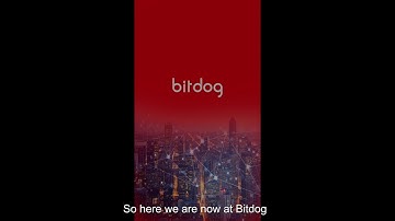 Cantonk 5in1XVR with Bitdog(Bitvision) APP