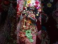 ✨ Special Darshan at ISKCON Vrindavan | Sri Sri Radha Shyamasundar ✨