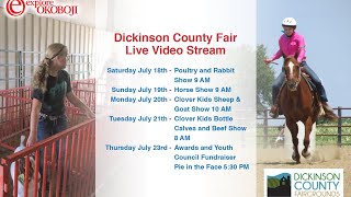 Dickinson County Fair Day 4: Beef 7/21/20 Part 2